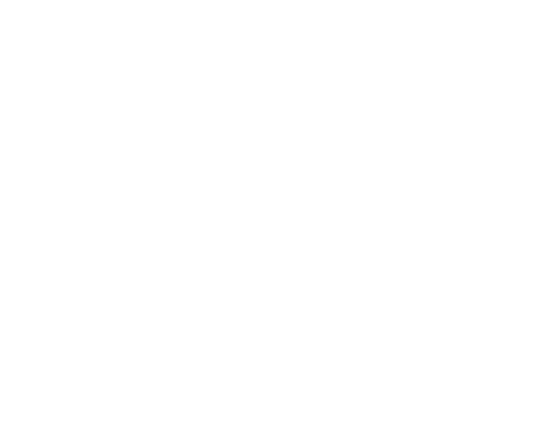 Veerplas Vrijmibo Festival Haarlem